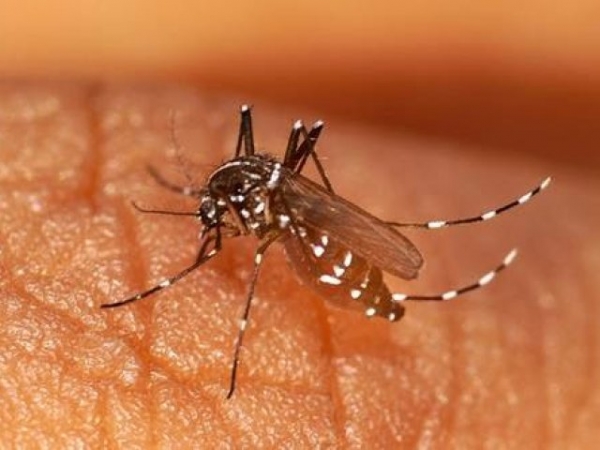 Criança nasce com microcefalia e relação com zika vírus será investigada